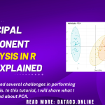 PCA in R: Principal Component Analysis Step-by-Step (prcomp + ggplot2)