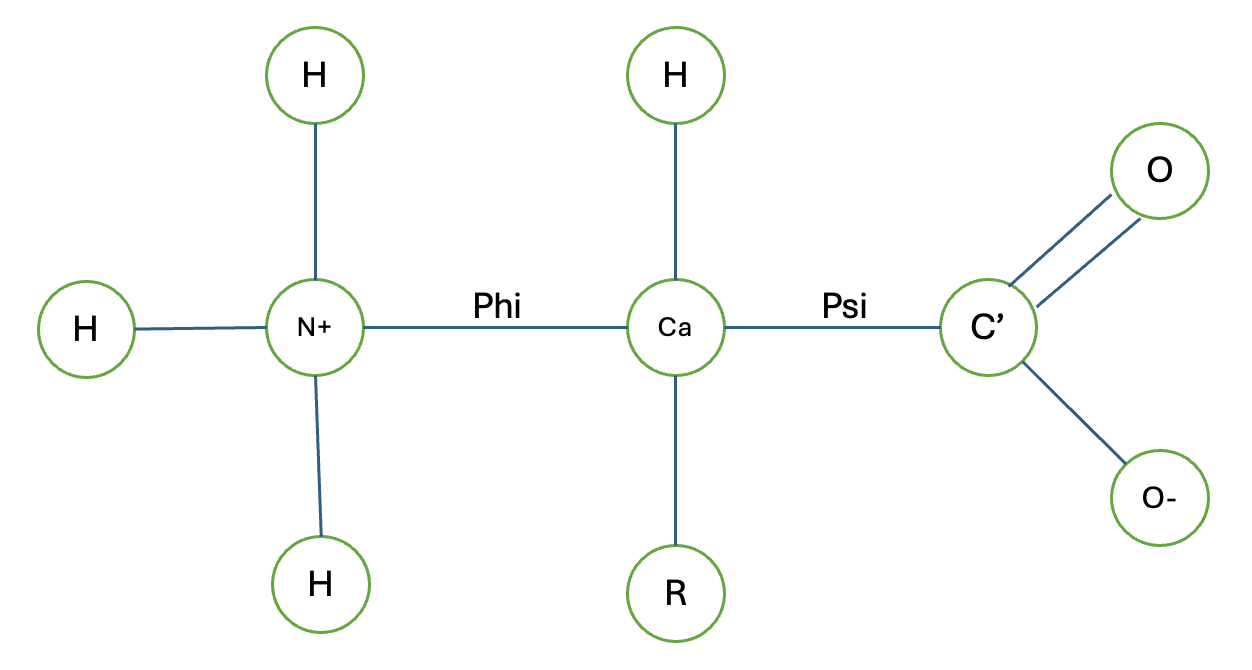 Apprentissage des acides aminés, partie 1 : acides aminés non polaires, rotation de Rodrigues et potentiel de Lennard-Jones
